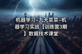 机器学习-九天菜菜-机器学习实战【训练营3期】数据技术课堂 - getfromcode