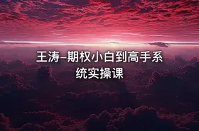 王涛-期权小白到高手系统实操课