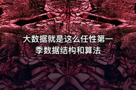 大数据就是这么任性第一季数据结构和算法