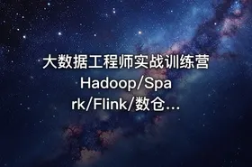 大数据工程师实战训练营 Hadoop/Spark/Flink/数仓等