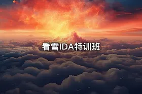 看雪IDA特训班