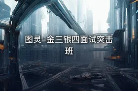 图灵-金三银四面试突击班 - getfromcode