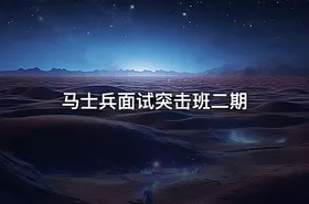 马士兵面试突击班二期 - getfromcode