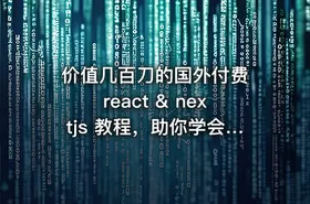 价值几百刀的国外付费 react & nextjs 教程，助你学会提升 react & nextjs