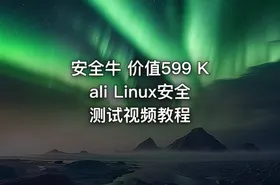 安全牛 价值599 Kali Linux安全测试视频教程