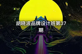 胡晓波品牌设计班第37期 - getfromcode