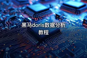 黑马doris数据分析教程