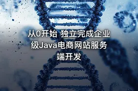 从0开始 独立完成企业级Java电商网站服务端开发 - getfromcode