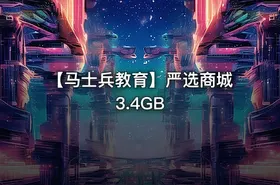 【马士兵教育】严选商城3.4GB - getfromcode