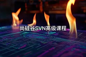尚硅谷SVN高级课程 - getfromcode