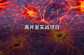 高并发实战项目 - getfromcode