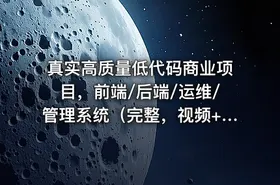 真实高质量低代码商业项目，前端/后端/运维/管理系统（完整，视频+代码+电子书）