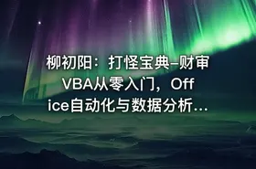 柳初阳：打怪宝典-财审VBA从零入门，Office自动化与数据分析实战课程
