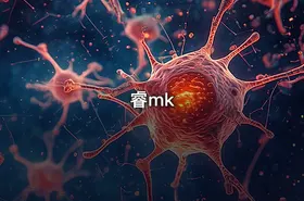睿mk