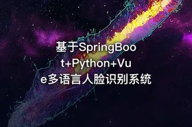 基于SpringBoot+Python+Vue多语言人脸识别系统