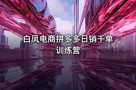 白凤电商拼多多日销千单训练营