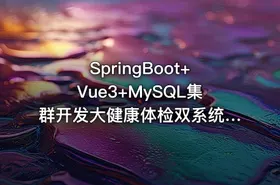 SpringBoot+Vue3+MySQL集群开发大健康体检双系统教程