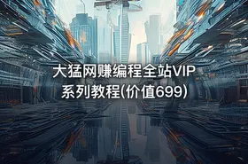大猛网赚编程全站VIP系列教程(价值699)