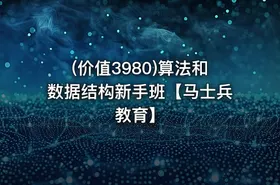 (价值3980)算法和数据结构新手班【马士兵教育】