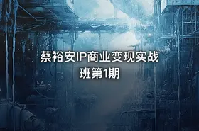 蔡裕安IP商业变现实战班第1期