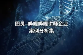 图灵-哔哩哔哩讲师企业案例分析集