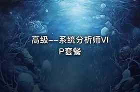 高级--系统分析师VIP套餐