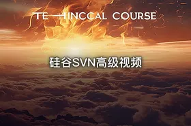 硅谷SVN高级视频 - getfromcode