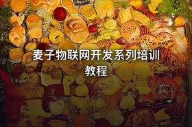 麦子物联网开发系列培训教程 - getfromcode