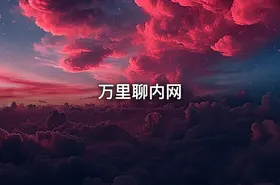 万里聊内网