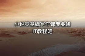 小说零基础写作课专业班 IT教程吧