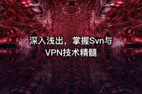 深入浅出，掌握Svn与VPN技术精髓 - getfromcode