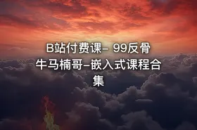 B站付费课- 99反骨牛马楠哥-嵌入式课程合集