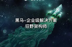黑马-企业级解决方案 狂野架构师