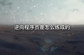 逆向程序员是怎么练成的