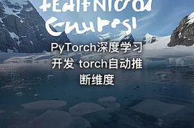 PyTorch深度学习开发 torch自动推断维度 - getfromcode
