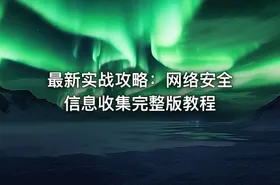 最新实战攻略：网络安全信息收集完整版教程 - getfromcode
