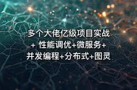 多个大佬亿级项目实战 + 性能调优+微服务+并发编程+分布式+图灵 - getfromcode