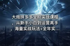 大炮拼多多全阶实战课程，从新手小白到运营高手，海量实战玩法+全年实时更新【2025年9月更新】