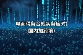 电商税务合规实务应对(国内加跨境)