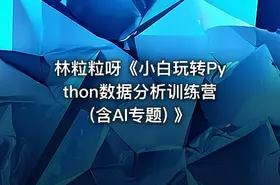 林粒粒呀《小白玩转Python数据分析训练营 (含AI专题) 》
