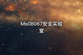Ms08067安全实验室