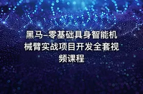 黑马-零基础具身智能机械臂实战项目开发全套视频课程 - getfromcode