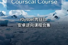 r0ysue(肉丝)：安卓逆向课程合集