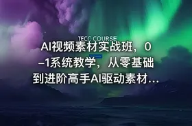 AI视频素材实战班，0-1系统教学，从零基础到进阶高手AI驱动素材焕新，提升跑量潜能，助力投产翻倍（更新）