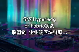 学习Hyperledger Fabric实战联盟链-企业端区块链原理精讲 - getfromcode