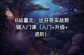B站董北：达芬奇实战剪辑入门课（入门+升级+进阶） - getfromcode