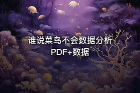 谁说菜鸟不会数据分析 PDF+数据