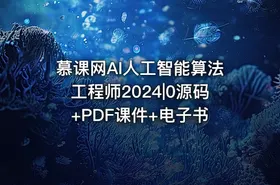慕课网AI人工智能算法工程师2024|0源码+PDF课件+电子书 - getfromcode
