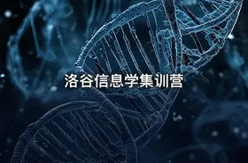 洛谷信息学集训营 - getfromcode
