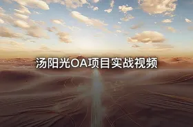 汤阳光OA项目实战视频
